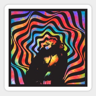 Rainbow Psychedelic Ape Sticker